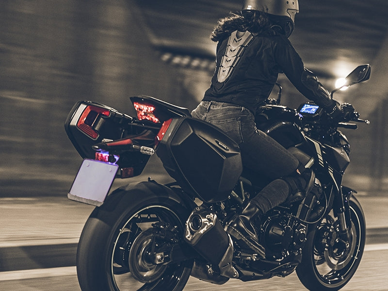 E48 SR Hardshell Saddlebags